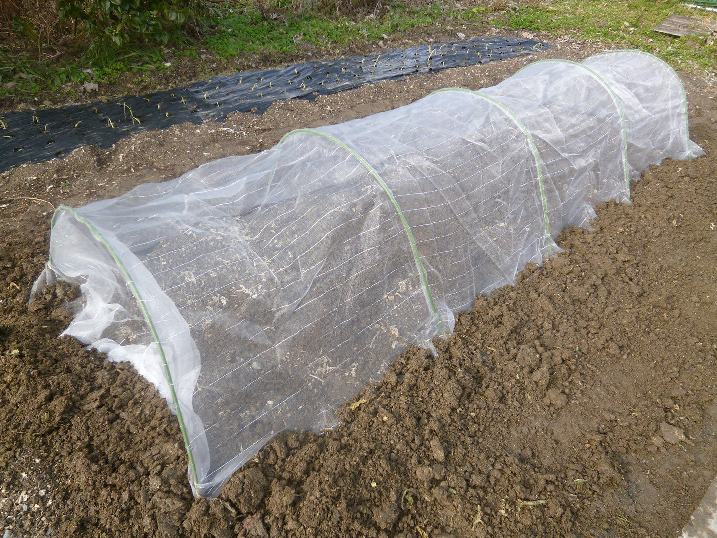 かんたん防虫ネット TZFC-85-72cm 5m