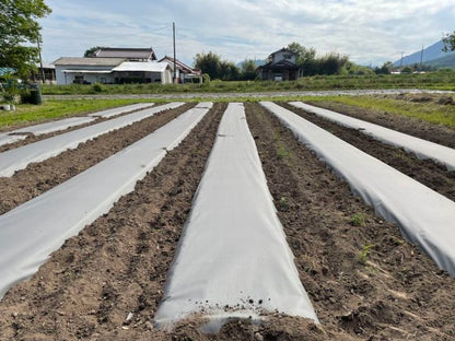 サステナマルチ（スタンダードタイプ） 0.085‐95×200ｍ　 【2個】