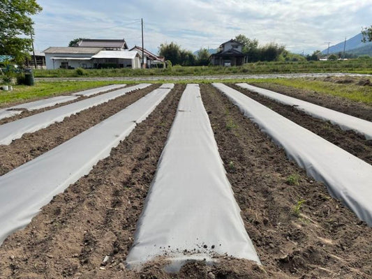 サステナマルチ（スタンダードタイプ） 0.085‐95×200ｍ　 【2個】